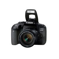 佳能Canon EOS 800D 单反相机 EF-S 18-55mm f/4-5.6 IS STM+50/1.8STM