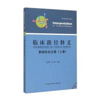 临床路径释义(肿瘤疾病分册上2015年版)