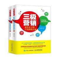 三极营销：新常态下的营销新模式 (上下)