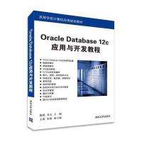 Oracle Database 12c应用与开发教程