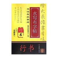123 名碑名帖临摹合一丛书 书法考级精练水写布字帖：王羲之《圣教序》