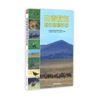 【正版图书】 白音敖包野生动物手册