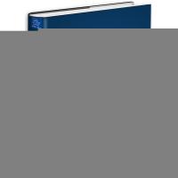 谷歌创业帮 关于梦想、创新、勇气与坚持