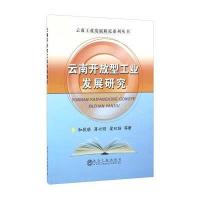 123 云南开放型工业发展研究