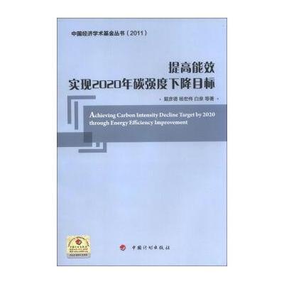 中国经济学术基金丛书 提高能效：实现2020年碳强度下降目标(2011)