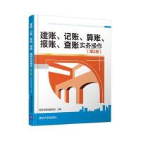 建账、记账、算账、报账、查账实务操作(第2版)