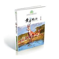 123 小霞客美丽中国行 大自然生态儿童文学书系—黄羊北归