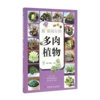 123 萌流行的多肉植物(园艺 家)