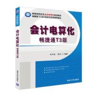 会计电算化---畅捷通T3版