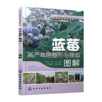果树栽培修剪图解丛书--蓝莓高产栽培整形与修剪图解