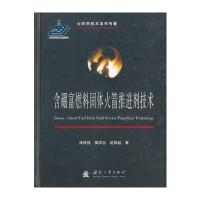 含硼富燃料固体火箭推进剂技术