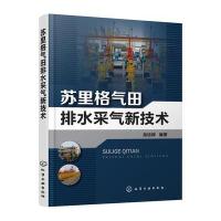 苏里格气田排水采气新技术