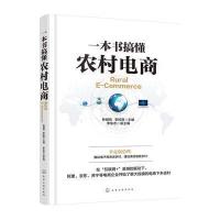 一本书搞懂农村电商