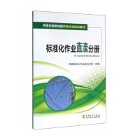 123 标准化作业直流分册