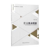 123 什么驱动创新-(国家创新战略的文化支撑研究)