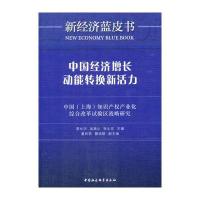 123 中国经济增长动能转换新活力——中国(上海)知识产权产业化综合改革试验