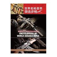 世界名枪荟萃 突击