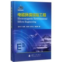 123 电磁环境效应工程