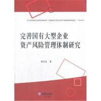 完善国有大型企业资产风险管理体制研究