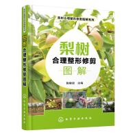 果树合理整形修剪图解系列--梨树合理整形修剪图解