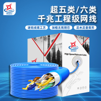 辉宏时代超五类百兆六类千兆软网线CAT6E网线箱网络双绞线国标定做跳线 超五类国标网线(白色)
