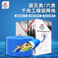 辉宏时代超五类百兆六类千兆软网线CAT6E网线箱网络双绞线国标定做跳线 六类国标阻燃网线(黑色)