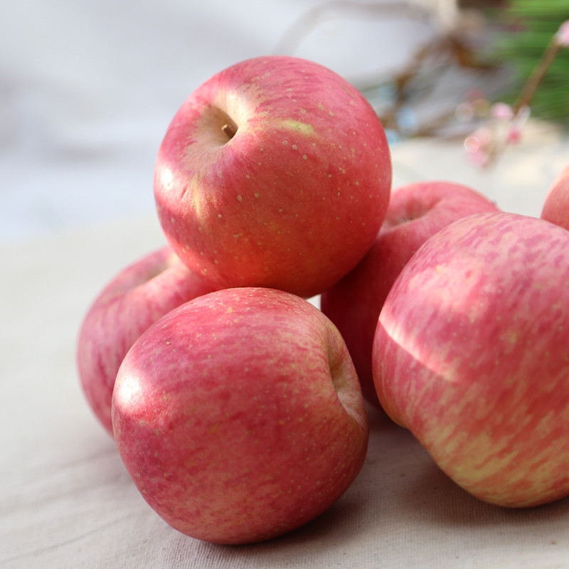 果郡王云南昭通野生小苹果5斤预售商品10月10号左右发货