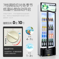 凡萨帝（Fasato） 310升 冷柜 冰柜 冰吧 展示柜 汽水柜 饮料柜 商用冷藏柜 FST-SC-339