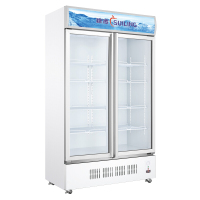 穗凌（SUILING)LG4-398M2 立式双门商用冰柜 单温直冷冷藏展示柜 饮料柜冷柜