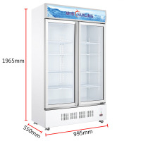 穗凌(SUILING)LG4-488M2 488升立式双门商用冰柜 单温直冷冷藏展示柜 饮料柜冷柜