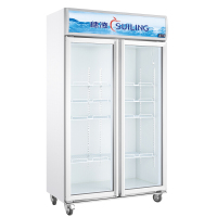 穗凌SUILING 立式冷柜 LG4-882M2 882升大冰柜商用超市立式冷藏保鲜展示柜 冷柜陈列柜 直冷