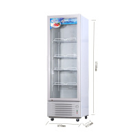 穗凌SUILING 商用展示柜 LG4-288 288升立式冰柜 直冷商用冷藏冷柜单门饮料柜