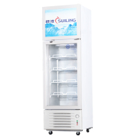 穗凌(SUILING)LT4-248 248升立式商用冰柜玻璃门展示冷柜双温上冷冻下冷藏展示冰柜(浅灰)