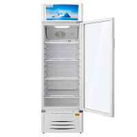 美的(Midea)SC-276GWMQ 276升商用展示柜单门冰柜饮料柜 保鲜柜立式展示柜冰柜玻璃门冷藏柜