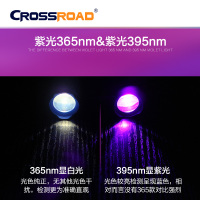 CROSSROAD 荧光剂检测笔紫光灯365nm鉴定紫光手电筒验钞面膜检测