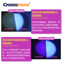 CROSSROAD 荧光剂检测笔紫光灯365nm鉴定紫光手电筒验钞面膜检测