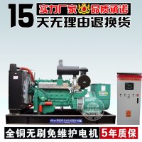 华全250kw柴油发电机组 250KW发电机组6缸ATS自动化大型三相交流电调水冷无刷永磁全铜柴油发电机220v380v