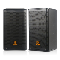 狮乐 BX-110 专业10寸会议室KTV舞台演出大功率木制音箱