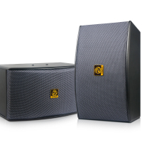 狮乐（SHILE）BX-119专业KTV音箱10英寸家庭K歌会议室背景音乐培训音响 BX-119音箱一对