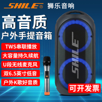 狮乐(SHILE) SL-2019广场舞音响手提音箱户外蓝牙便携式K歌小型带话筒大功率叫卖家用地摊喊话播放器音响