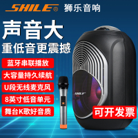 狮乐(SHILE) SL-2018广场舞音响手提音箱户外蓝牙便携式K歌小型带话筒大功率叫卖家用地摊喊话播放器音响