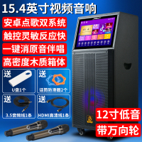 狮乐(SHILE) 和谐二号广场舞移动电瓶音响蓝牙WIFI触屏视频机大功率户外移动KTV双无线麦克风