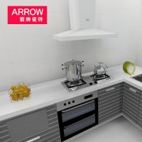 ARROW箭牌瓷砖厨房卫生间阳台地砖 瓷片 纯真年代AEW12063R(600*300)