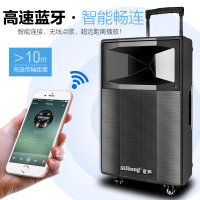Qisheng/奇声广场舞音响大功率户外K歌音箱户外会议/培训便携移动拉杆音箱LX-L10