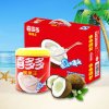 喜多多椰果王椰肉水果罐头200g*12罐夏季果粒饮料水果罐头礼盒整箱
