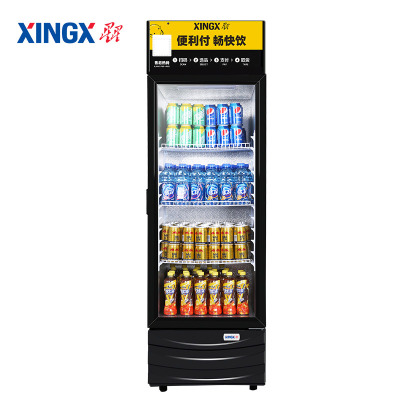 星星(XINGX)LSC-218G星星商用立式冰柜 便利店展示柜饮料冷藏柜 单门保鲜节省电小型冷柜