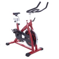 驰尚V311 健身车家用动感单车超静音室内健身器材脚踏车运动自行车室内磁控车风扇车