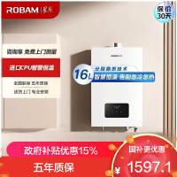 老板(Robam)星辰系列HT616A-16L智能恒温燃气热水器精准控温大水量家用强排式低水压启动国家补贴15% 16L