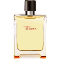 HERMES 爱马仕大地男士香水 100ml