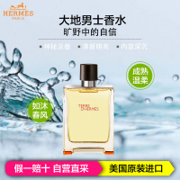 HERMES 爱马仕大地男士香水 100ml